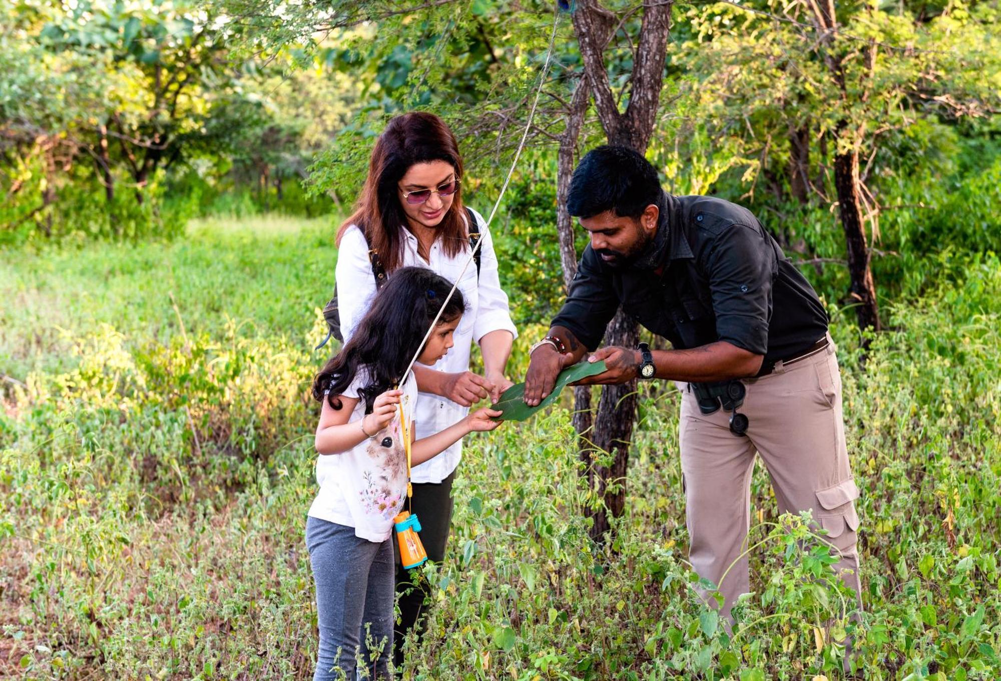 Pashan Garh Panna National Park - A Taj Safari Екстериор снимка